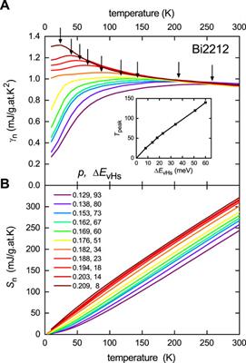 Thermodynamics of the pseudogap in cuprates
